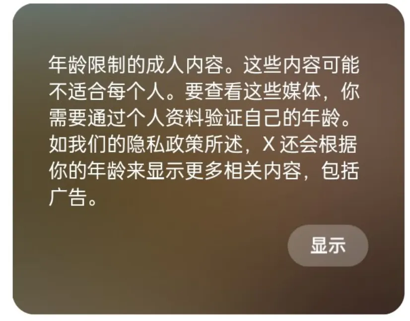 年龄限制的成人内容提示
